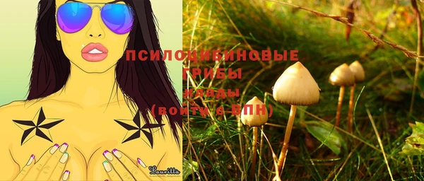 соль курить ск Алексеевка