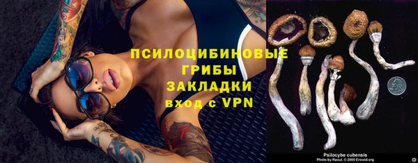ПСИЛОЦИБИНОВЫЕ ГРИБЫ Алексин
