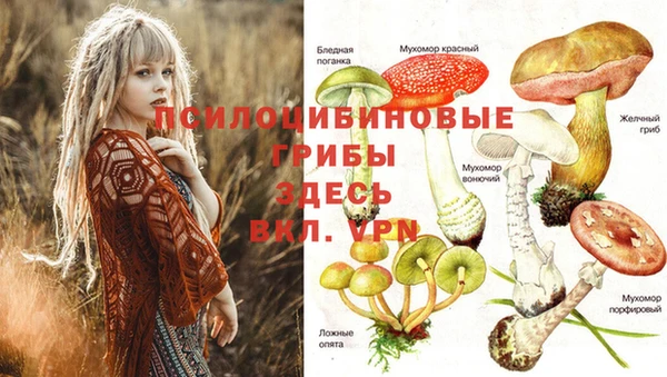 MDMA Алзамай