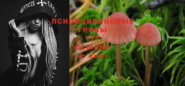 ПСИЛОЦИБИНОВЫЕ ГРИБЫ Алексин