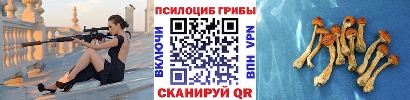 shop какой сайт  Сибай  Галлюциногенные грибы Psilocybe 
